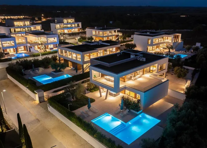 Old Olive Vi 보드냔