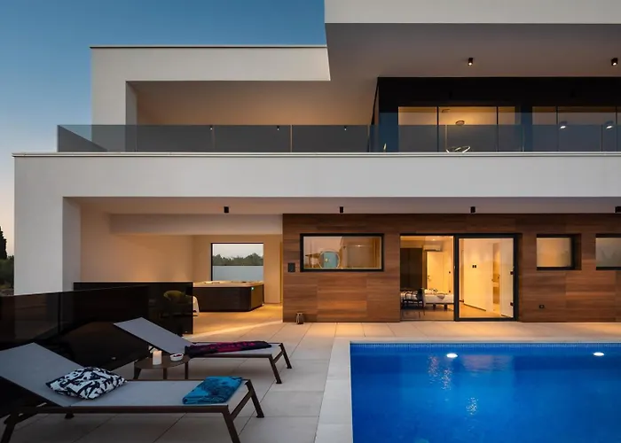 Old Olive Vi 보드냔