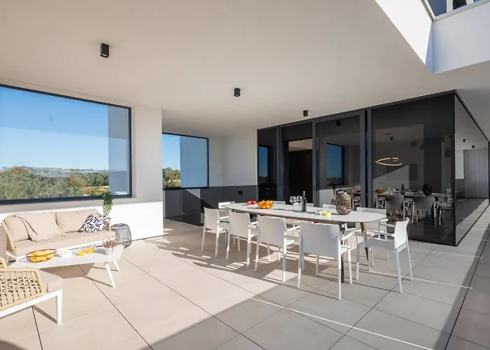 Old Olive Vi * 보드냔