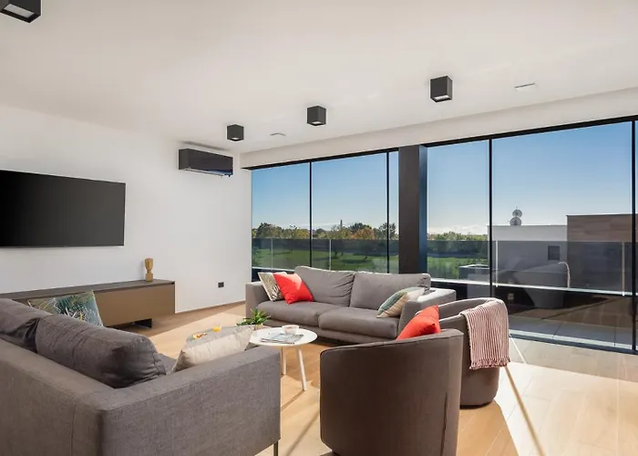 Old Olive Vi * 보드냔