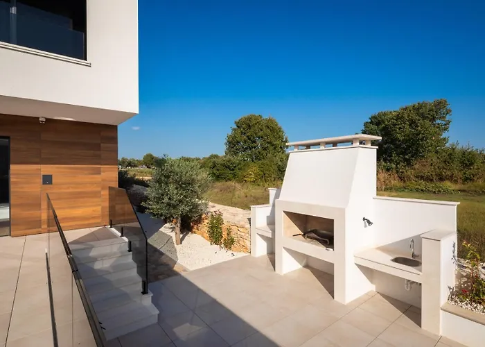 Old Olive Vi 보드냔